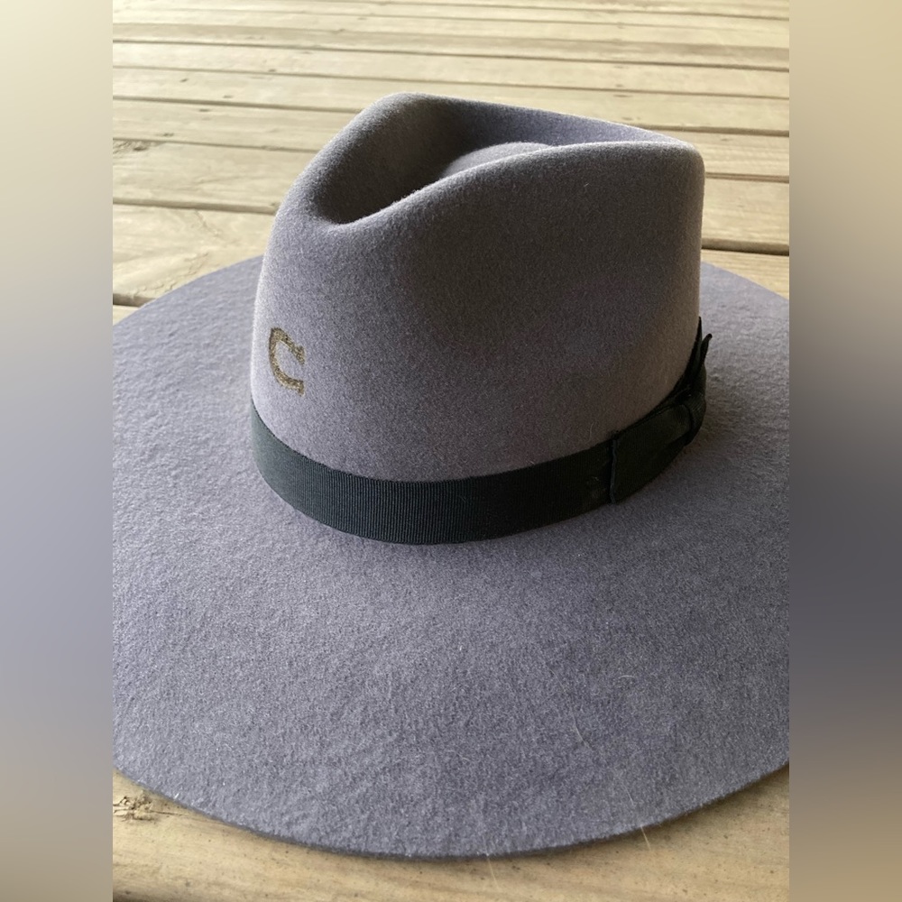 Charlie 1 Horse grey